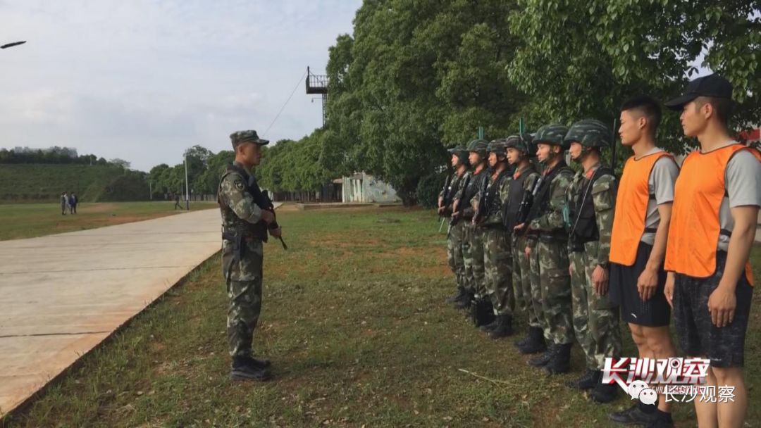  菲尔特战术纪律严明，防守反击战术显成效